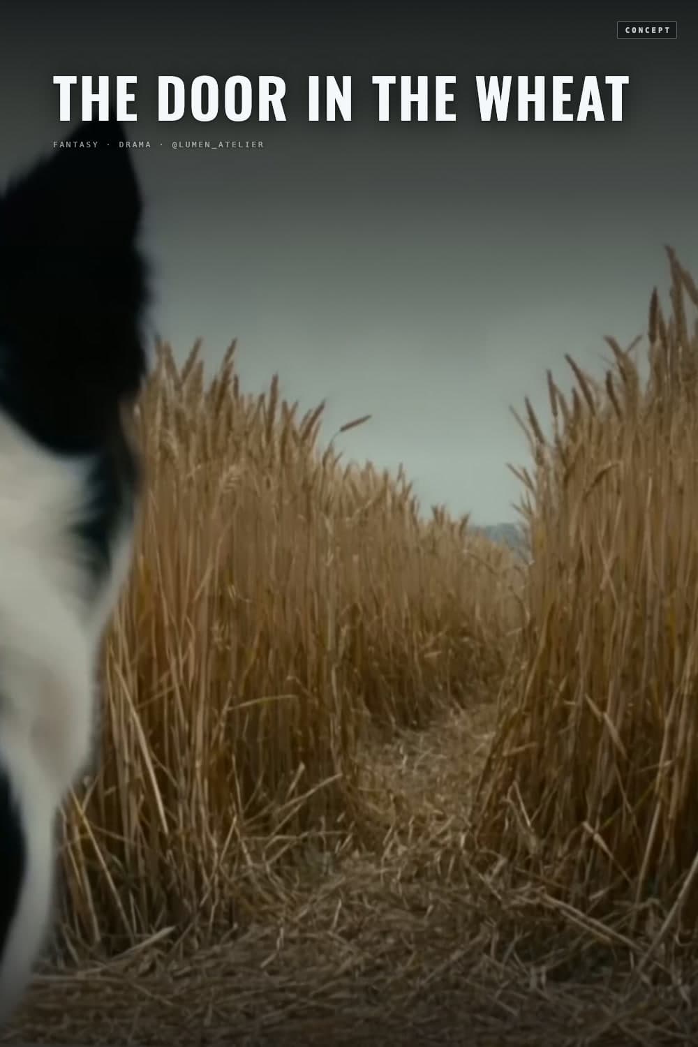 The Door In The Wheat poster